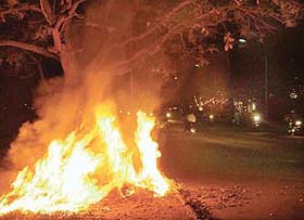 In utter violation of the Punjab and Haryana High Court directions, city residents continue to burn dry leaves anywhere they please