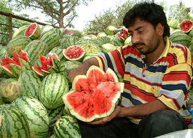 A watermelon seller cuts his produce in various shapes to attract customers