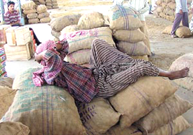 A daily-wager taking a siesta on the ninth day of the transporters strike at Azadpur Subzi Mandi in the Capital 