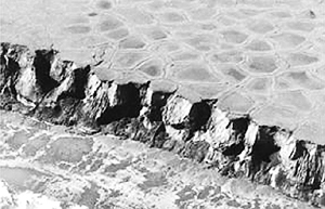 ICY TOMB