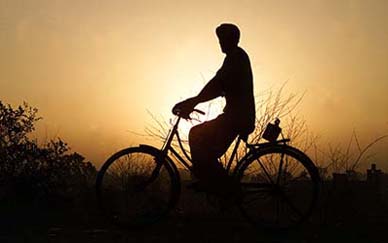 A man rides on his bicycle through a farm land at the start of a hot day on the outskirts of Amritsar