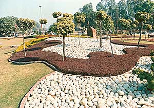 Iresin has been used imaginatively along with river stones to get an eyecatching landscape design