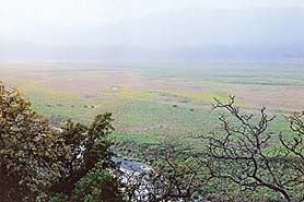 A view of the Dhikala zone from a machaan, 60 feet high, across the Ramganga. Most of the animals can be seen from here as they come to to quench their thirst