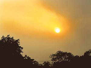 SUN IN DISGUISE