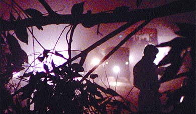 A squall hit the Capital on Tuesday evening, uprooting trees and disrupting the traffic