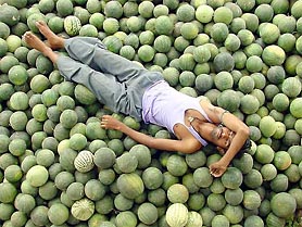 A watermelon seller rests on his stock during a hot day in Bhopal 