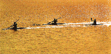 GOLDEN MOMENT: Rowers flex their muscles on the calm waters of Sukhna Lake in Chandigarh on Friday morning.