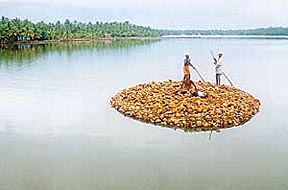 Unique boats: What a way to ferry coconut husk! 