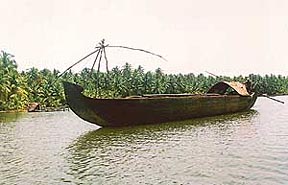 Myriad native boats sail along islands of greenery
