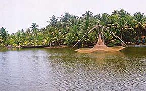 Chinese fishing nets, used to attract fish, line the banks