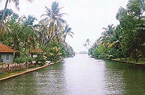 A cruise along the palm-fringed backwaters is a sheer delight