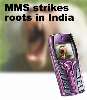 MMS strikes roots in India