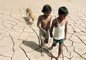 Children walk with a stray dog along the parched Sukhna Lake