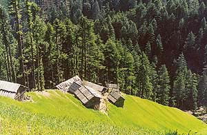 A scenic view of fields and thatched houses on way to Kamru Nag