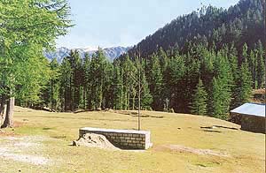 Bhullah is known for its lush meadows and tall deodars