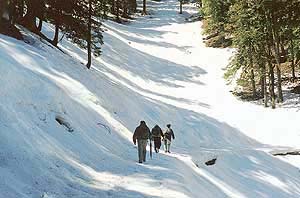 A snow-covered track on way to Shikari Peak