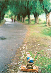 Mediaeval magic: A doll pierced on the Paro sideway