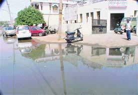 A view of the stagnant sewage in front of the branch of the Central Bank of India