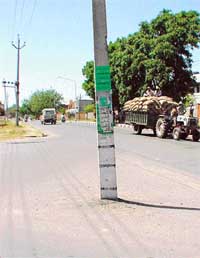 An electricity pole in the middle of the road separating Sectors 68 and 69, SAS Nagar