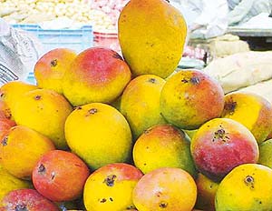 The mango of discord?