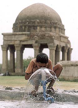 FOUNTAIN THERAPY!