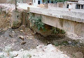 Heaps of garbage dumped by the municipal committee and open sewers in Kalka flow into the Sukhna choe