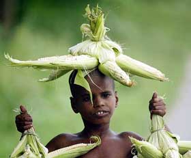 Six-year-old Simonta Bera sells corn on a busy street in Kolkota on Tuesday. 