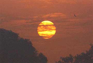 A thin layer of clouds