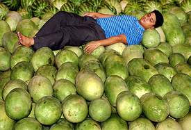 A fruit seller rests on a mountain of watermelons