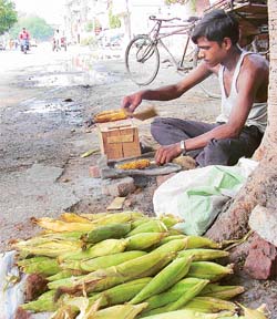 Bhutta sellers are a common sight in Ludhiana