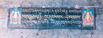 A Tibetan palm-leaf manuscript at the archives in Patiala