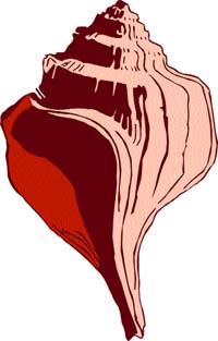 The sound of the conch is believed to ward off enemies
