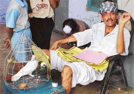 A supporter of a candidate, whose symbol was pigeon, trying to woo voters