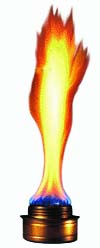 Fuels such as gas, kerosene and methylated spirits can be burned to release heat energy