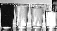 WHICH ONE TO SIP?