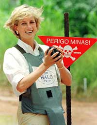 A memorial fund for Britain's late Princess Diana said it had frozen its cash as part of its fight against a lawsuit from a US firm