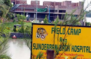 The Sunderban Bagh Hospital is under construction at Satjelia village