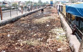 A park outside New Sabzi Mandi lies in a pathetic condition due to neglect and poor upkeep
