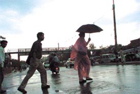 An overcast sky, a slight nip in the air and an invigorating breeze brought out the jaywalkers 