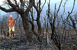 A holidaymaker walks in a burned forest near in Saint Aygulf