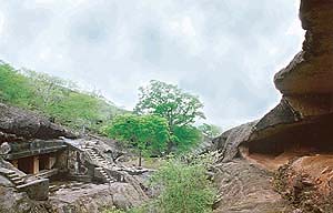 The rugged expanse of Borivli National Park