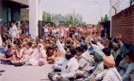Employees of the Satguru Ram Singh Government Polytechnic for Women and the Government Institute of Textile Chemistry and Knitting Technology