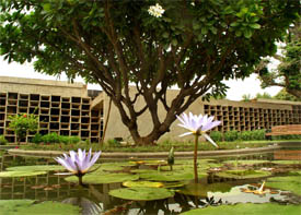 The beautiful pond created at the entrance to Government Art College