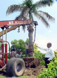 Mr S.L. Sehgal, Executive Director, Rishab Spinning Mills