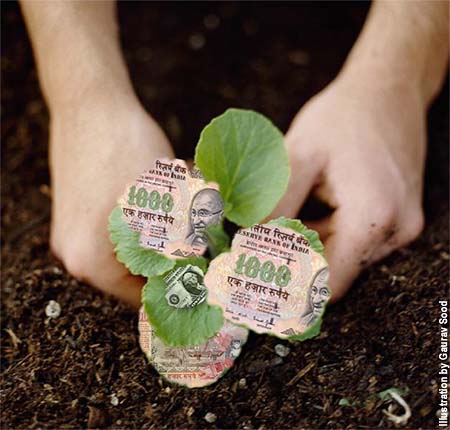 NGOs: Note-Growing Organisations?