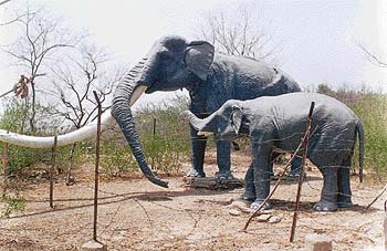 The Shivalik Fossil Park at Saketi displays models of prehistoric animals which roamed the Shivalik Hills