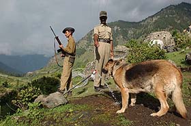 Border Security Force soldiers with a sniffer dog looks for explosives en route to Amarnath