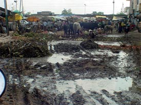 Heaps of garbage and rotten vegetables at New Sabzi Mandi