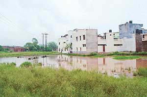 A view of Mani Majra pocket 9 after rains. 