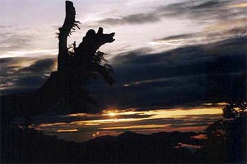 The sky at sunset in Shimla on Monday.
